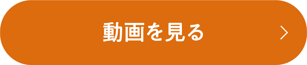 動画を見る